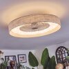 Benasal ceiling light, Ceiling fan light LED white, 1-light source, Remote control