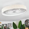 Benasal ceiling light, Ceiling fan light LED white, 1-light source, Remote control