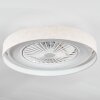 Benasal ceiling light, Ceiling fan light LED white, 1-light source, Remote control