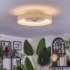 Benasal ceiling light, Ceiling fan light LED white, 1-light source, Remote control