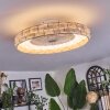 Benasal ceiling light, Ceiling fan light LED white, 1-light source, Remote control