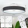 Benasal ceiling light, Ceiling fan light LED white, 1-light source, Remote control