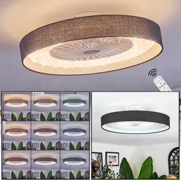 Benasal ceiling light, Ceiling fan light LED white, 1-light source, Remote control