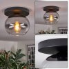 Apedo ceiling light, globe light clear, Smoke-coloured, 1-light source