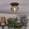 Apedo ceiling light, globe light clear, Smoke-coloured, 1-light source