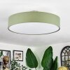 Foggia ceiling light matt nickel, 3-light sources