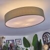 Foggia ceiling light matt nickel, 3-light sources