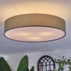 Foggia ceiling light matt nickel, 3-light sources