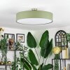 Foggia ceiling light matt nickel, 3-light sources