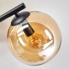 Gastor ceiling light, globe light Amber, Smoke-coloured, 3-light sources