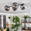 Gastor ceiling light, globe light chrome, clear, Smoke-coloured, 4-light sources