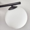 Gastor ceiling light, globe light white, 4-light sources