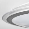 Arima ceiling light LED grey, white, 1-light source