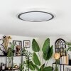 Arima ceiling light LED grey, white, 1-light source