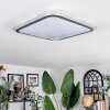 Arima ceiling light LED grey, white, 1-light source