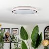 Anora ceiling light LED copper, white, 1-light source