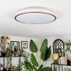 Anora ceiling light LED copper, white, 1-light source