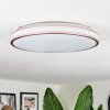 Anora ceiling light LED copper, white, 1-light source