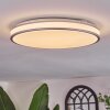 Arima ceiling light LED grey, white, 1-light source