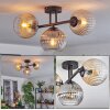 Koyoto ceiling light, globe light Amber, clear, Smoke-coloured, 3-light sources