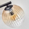 Koyoto ceiling light, globe light Amber, clear, Smoke-coloured, 3-light sources