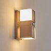 Swanek outdoor wall light, wall light LED rust-coloured, 2-light sources, Motion sensor