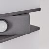 Swanek outdoor wall light, wall light LED anthracite, 2-light sources, Motion sensor