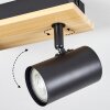 Gesteira ceiling light, ceiling spotlight Ecru, black, 2-light sources