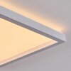 Xarel ceiling light, Panel LED white, 1-light source