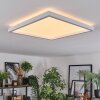 Xarel ceiling light, Panel LED white, 1-light source