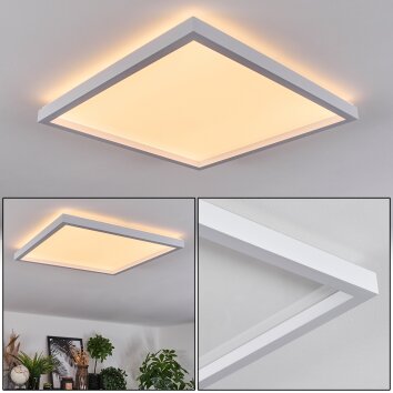 Xarel ceiling light, Panel LED white, 1-light source