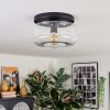 Boza ceiling light, globe light clear, 1-light source