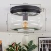 Boza ceiling light, globe light clear, 1-light source