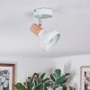 Alyra ceiling light, ceiling spotlight white, 1-light source