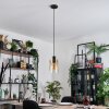 Hasvik hanging light, pendant light chrome, black, 1-light source