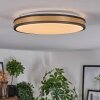 Kirtland ceiling light LED gold, black, 1-light source