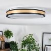 Kirtland ceiling light LED gold, black, 1-light source