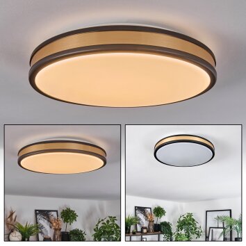 Kirtland ceiling light LED gold, black, 1-light source