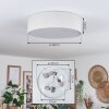 Antillo ceiling light white, 3-light sources