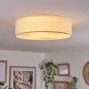 Antillo ceiling light white, 3-light sources