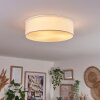 Antillo ceiling light white, 3-light sources