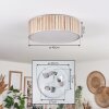 Antillo ceiling light white, 3-light sources