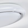 Anela ceiling light LED white, 1-light source