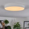 Diagonal ceiling light LED white, 1-light source, Remote control