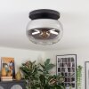 Apedo ceiling light, globe light clear, Smoke-coloured, 1-light source