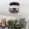 Apedo ceiling light, globe light Smoke-coloured, 1-light source