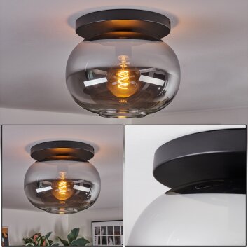 Apedo ceiling light, globe light Smoke-coloured, 1-light source