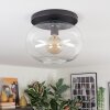 Apedo ceiling light, globe light clear, 1-light source