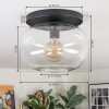 Apedo ceiling light, globe light clear, 1-light source