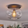 Apedo ceiling light, globe light clear, 1-light source